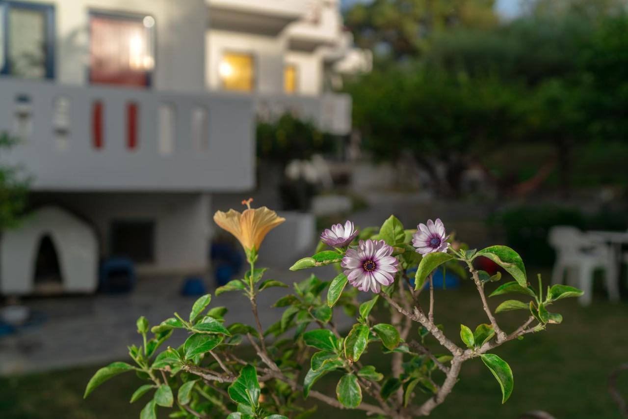 Plakias Bay Hotel Kültér fotó